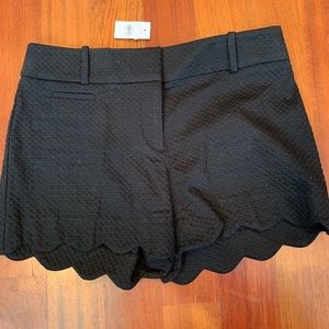 NWT Loft black shorts